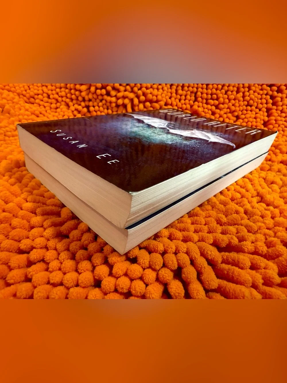 Angelfall & World After Trade Paperbacks By Susan Ee